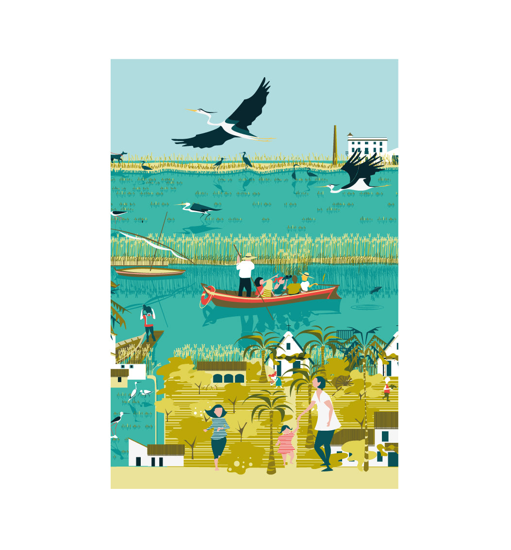 POSTAL / POSTCARD ALBUFERA DE VALÈNCIA 02
